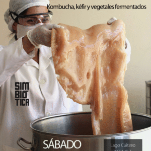 Curso Presencial Sábado 15 Noviembre: Fermentos caseros. Kombucha, Kéfir y Vegetales
